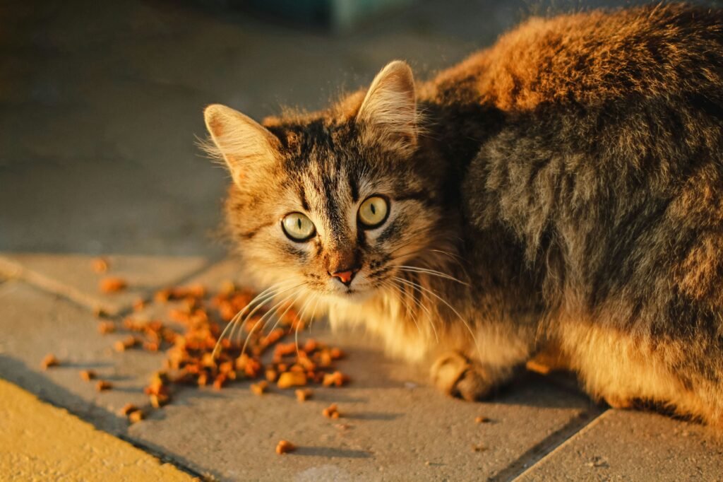 anna-kumpan-wDfWGgQl9iU-unsplash-1024x682.jpg